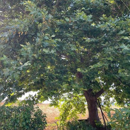 Appartamento Platanos Samothráki Esterno foto